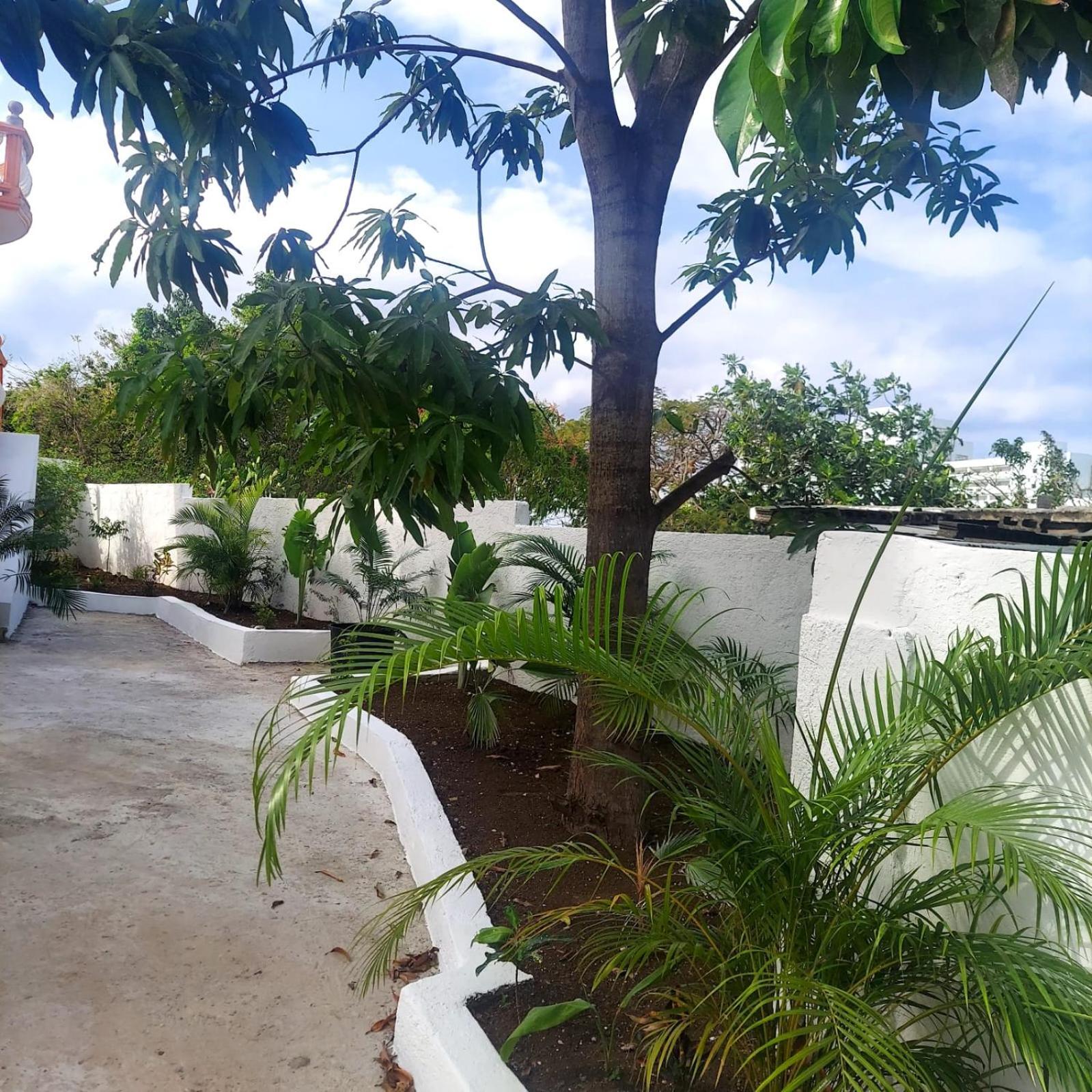 Cas Bed And Breakfast Corral Spring 外观 照片
